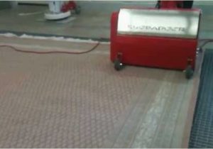 Area Rug Cleaning Vancouver Wa oriental Rug Cleaning Vancouver Wa area Rug Cleaning Vancouver Wa