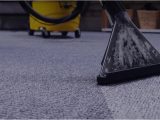 Area Rug Cleaning Virginia Beach top 10 Best Carpet Cleaning In Virginia Beach, Va Angi