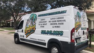 Area Rug Cleaning West Palm Beach Carpet & Upholstery Cleaning In West Palm Beach Fl by Dolphin …