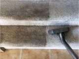 Area Rug Cleaning Wilmington Nc Carpet Cleaning Wilmington, Nc World Class Steam Of Wilmington