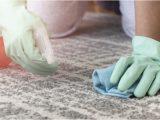 Area Rug Cleaning Wilmington Nc Eco-friendly Carpet Cleaning, Wilmington Green Steps Carpet Care
