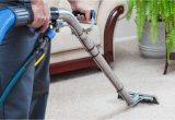 Area Rug Cleaning Wilmington Nc the #1 Carpet Cleaning In Wilmington, Nc 5-star Rated and …