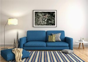 Area Rug for Blue Couch Slikovni Rezultat Za Vibrant Blue sofa area Rugs