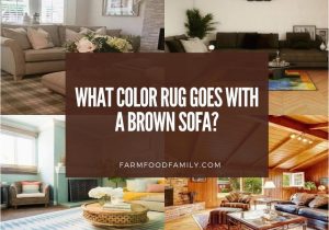 Area Rug to Match Brown Couch What Color Rug Goes Well with A Brown sofa? [25 Options with Pictures]