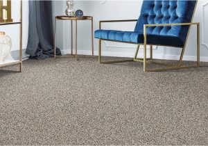 Area Rugs Bergen County Nj Carpet In Fairfield, Nj From Treptow Floors
