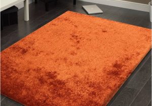Area Rugs Buy now Pay Later Fuzzy Rust area Rug 5 X 7 1stopbedrooms