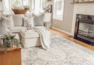 Area Rugs for Gray Walls Ozona area Rug Boutique Rugs