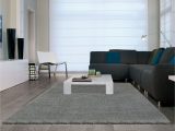Area Rugs for Laminate Floors area Rugs On Laminate Flooring Home Design Ideas