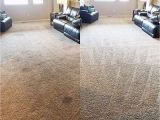 Area Rugs fort Collins Co Our Work – Homepro Carpet Care