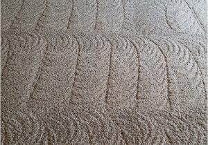 Area Rugs fort Collins Co Welcome to Dynamic Floor Care â fort Collins Floor Cleaning