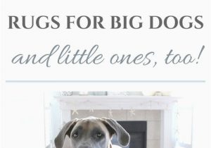 Area Rugs Good for Dogs the Best Rugs for Big Dogs and Little Ones too — House