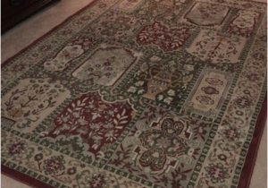 Area Rugs Good for Pets area Rug Very Good Condition