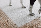 Area Rugs that are Pet Friendly Pet Friendly area Rugs In 2020