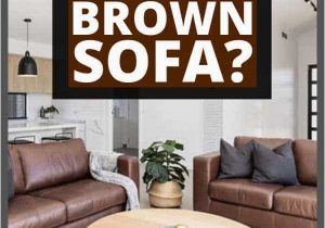 Area Rugs that Go with Brown Furniture What Color Of Rug Goes with A Brown sofa Home Decor Bliss
