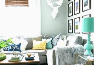 Area Rugs that Go with Grey Couch Rug to Go with Grey sofa Dark Grey Couch Decor Gray Couch