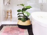 At Home Bathroom Rugs Bathrooms Rugs Home Decor Designs Ideas
