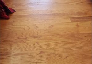 Backing for area Rugs On Hardwood Floors How to Remove Deteriorated Rug’s Latex Backing Stuck On Hardwood …