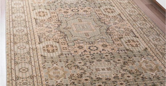 Bed Bath and Beyond Rugs 9×12 Amina Light Green Vintage 9×12 area Rug In 2020