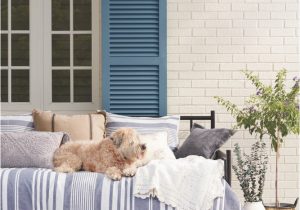 Bee and Willow area Rugs Bed Bath & Beyond is Launching Decor Brand Bee & Willow