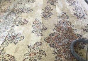 Best area Rug Cleaner Machine Alpine Cleaners the Best Carpet Cleaning Pany In