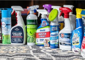 Best area Rug Cleaning Products 7 Best Carpet Stain Removers Of 2022 – Reviewed