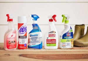 Best area Rug Cleaning Products the 9 Best Carpet Stain Removers Of 2022 Tested by the Spruce