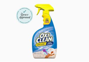 Best area Rug Cleaning Products the 9 Best Carpet Stain Removers Of 2022 Tested by the Spruce