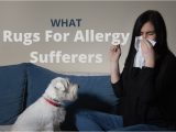 Best area Rugs for Allergy Sufferers Best area Rugs for Allergy Sufferers Hypoallergenic Rugs