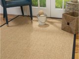 Best area Rugs for Bathrooms Natural area Rugs Holiday Warehouse Rug Los Angeles In