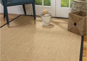 Best area Rugs for Bathrooms Natural area Rugs Holiday Warehouse Rug Los Angeles In