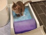 Best area Rugs for Cat Owners 30 Problem solving Products for Cat Owners You Can Get Amazon