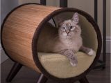 Best area Rugs for Cat Owners the top 5 Places to Put Cat Beds Overstock