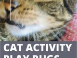 Best area Rugs for Cats with Claws Cat Activity Play Rug Buying Guide Ripple Rug and Puzzle
