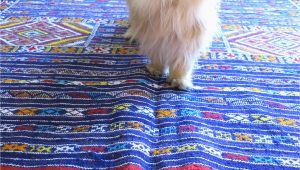 Best area Rugs for Cats with Claws How to Choose A Rug for A Cat Friendly Home