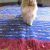 Best area Rugs for Cats with Claws How to Choose A Rug for A Cat Friendly Home