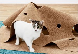 Best area Rugs for Cats with Claws Snugglycat Ripple Rug Cat Activity Play Mat In 2020
