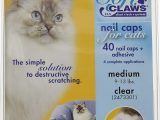 Best area Rugs for Cats with Claws soft Claws Clear Cat Nail Caps