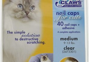 Best area Rugs for Cats with Claws soft Claws Clear Cat Nail Caps