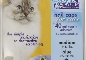 Best area Rugs for Cats with Claws soft Claws Feline Cat Nail Caps Take Home Kit Medium Blue