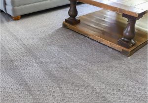 Best Pet Friendly area Rugs the Best Pet Friendly Carpet is Petproof From the Home Depot