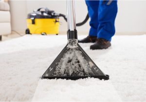 Best Steam Cleaner for area Rugs Best Carpet Cleaner 2022: Get Rid Of Stains, Grime and Pet Hair …