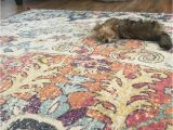 Best Type Of area Rug for Dogs Pet Friendly area Rug Material