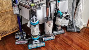 Best Vacuum for area Rugs and Pet Hair the 5 Best Vacuums for Pet Hair In 2022