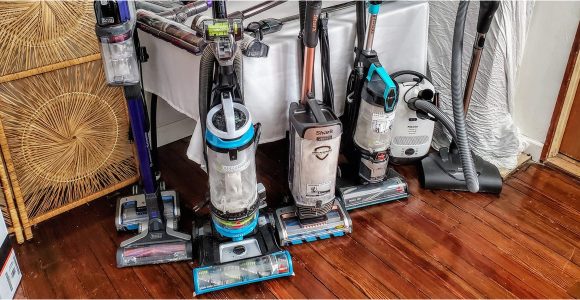 Best Vacuum for area Rugs and Pet Hair the 5 Best Vacuums for Pet Hair In 2022