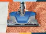 Best Vacuum for area Rugs and Pet Hair the 7 Best Pet Hair Vacuums Of 2022, Tested by People