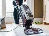Best Vacuum for area Rugs and Pet Hair the Best Vacuums for Pet Hair to Tackle Shedding
