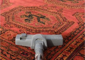 Best Vacuum for Wool area Rugs How to Properly Vacuum Every Type Of Rug In Your Home – Reviewed
