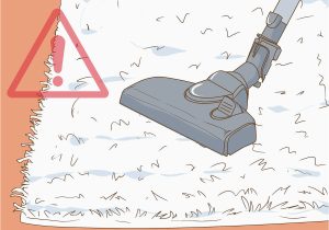Best Way to Clean A White area Rug 3 Ways to Clean A White Rug – Wikihow