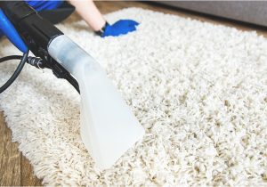 Best Way to Clean A White area Rug How to Clean A Shag Rug – the Home Depot