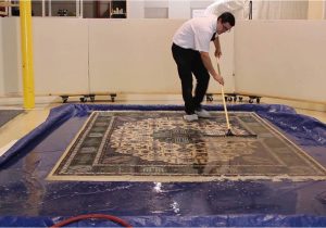 Best Way to Clean Large area Rugs How to Properly Clean Fine Wool area Rugs Natural Fiber …